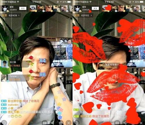 网红爆料呱呱视频大全集,呱呱视频大全集，带你领略网络红人的魅力瞬间